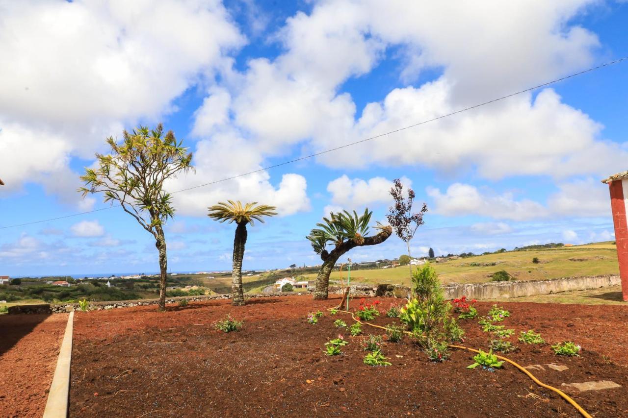 Quinta Do Falcao Almagreira  Luaran gambar